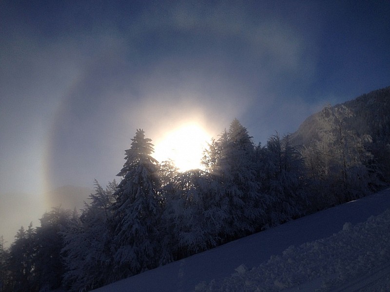 #3 Halo : Limite brouillard & soleil Halo : Limite brouillard & soleil
