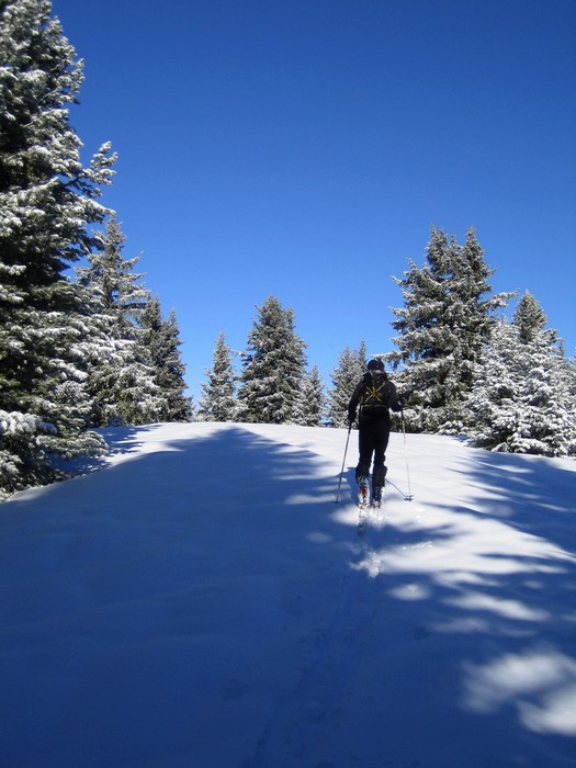 #1 Non Rob ce n Non Rob ce n'est pas par là