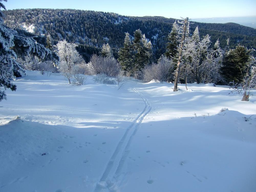 #5 Bois du Sara : vu depuis le creux de Botte. Bois du Sara : vu depuis le creux de Botte.