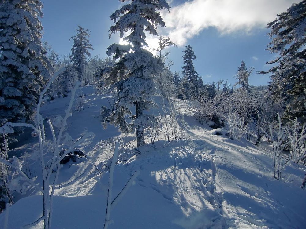 #4 épaule : versant N/O de la Botte. épaule : versant N/O de la Botte.