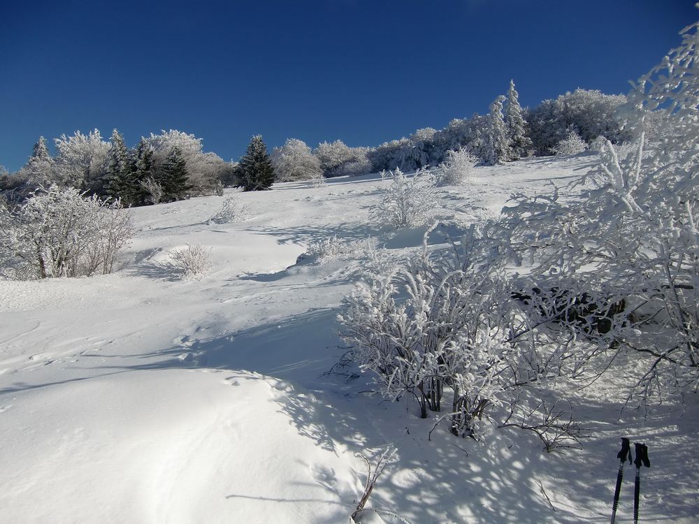 #7 anciens paturages? : sur les ruines de la jasserie de la Botte(1340m) anciens paturages? : sur les ruines de la jasserie de la Botte(1340m)