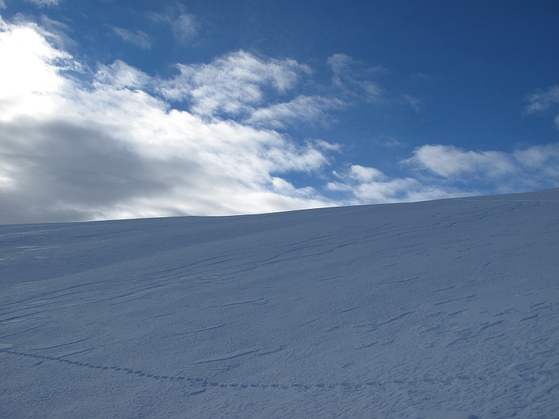 #1 Combe du Barral... : Que 4 traces..Quelle honte..!! :-) Combe du Barral... : Que 4 traces..Quelle honte..!! :-)