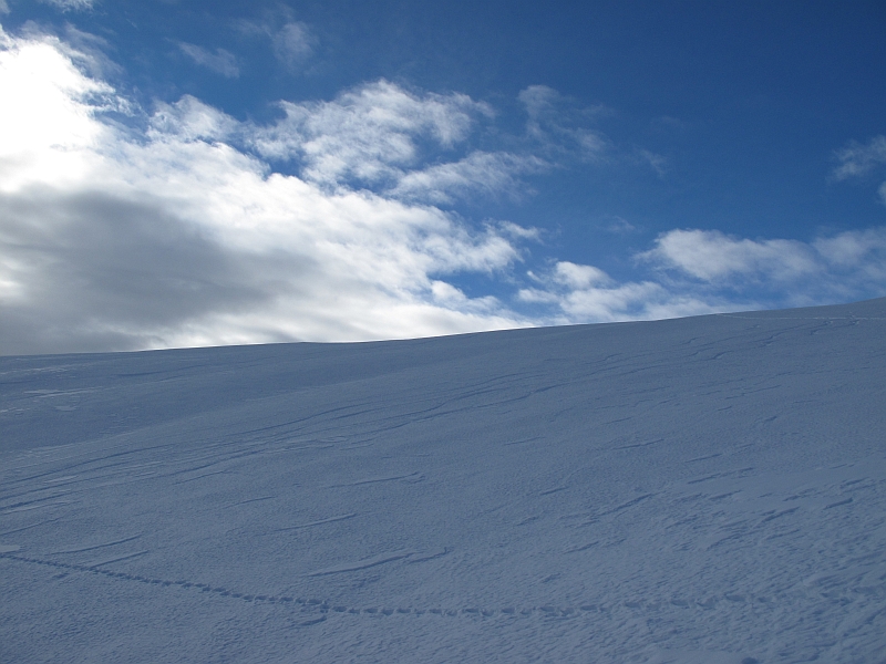 Combe du Barral... : Que 4 traces..Quelle honte..!! :-)