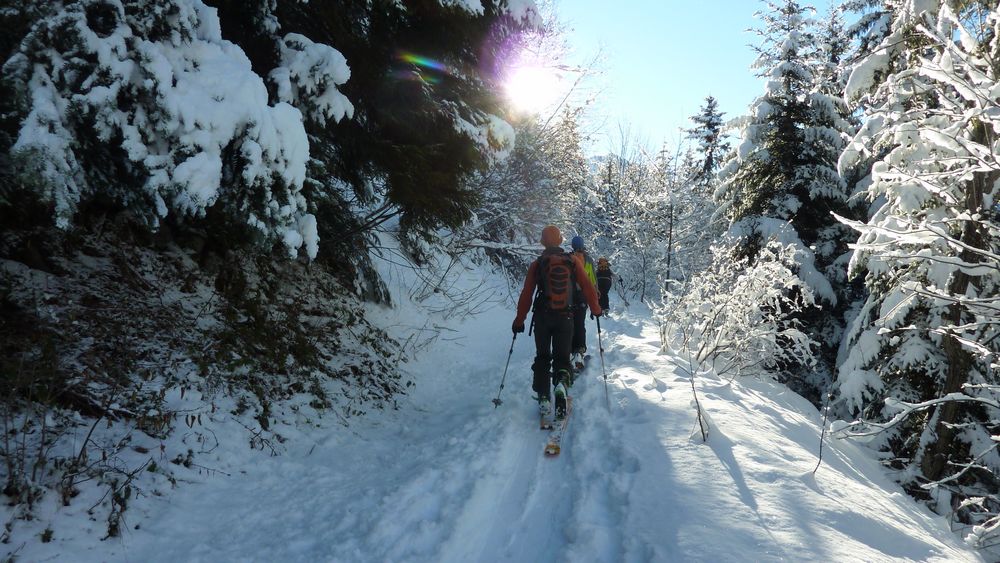 Paysages hivernaux : montée bucolique