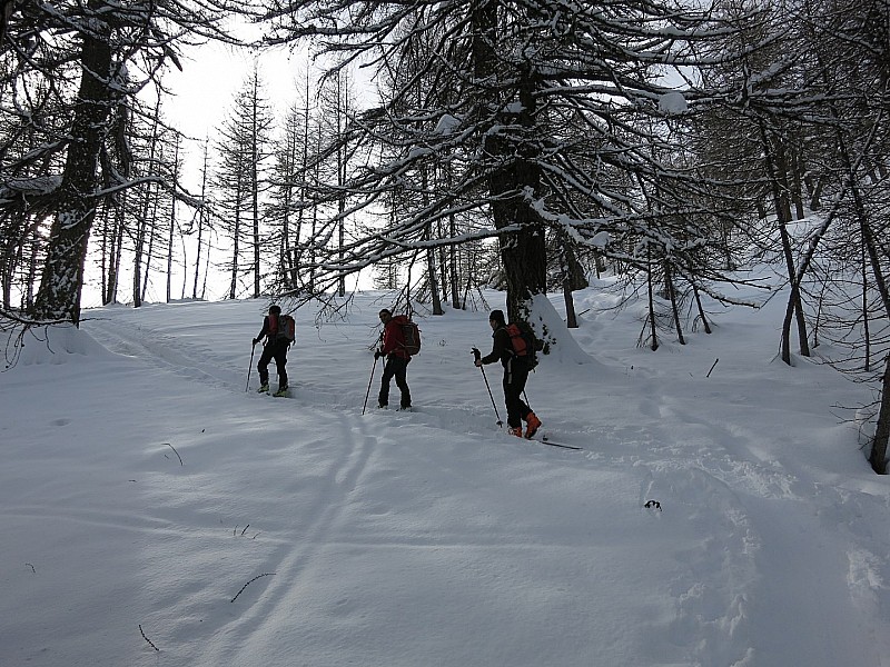 croix de carlé : dans la forêt