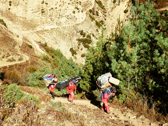 #2 Trek : Les 3 seuls porteur de l Trek : Les 3 seuls porteur de l'expé. Le reste des 500Kg est porté par des miulses et les yaks