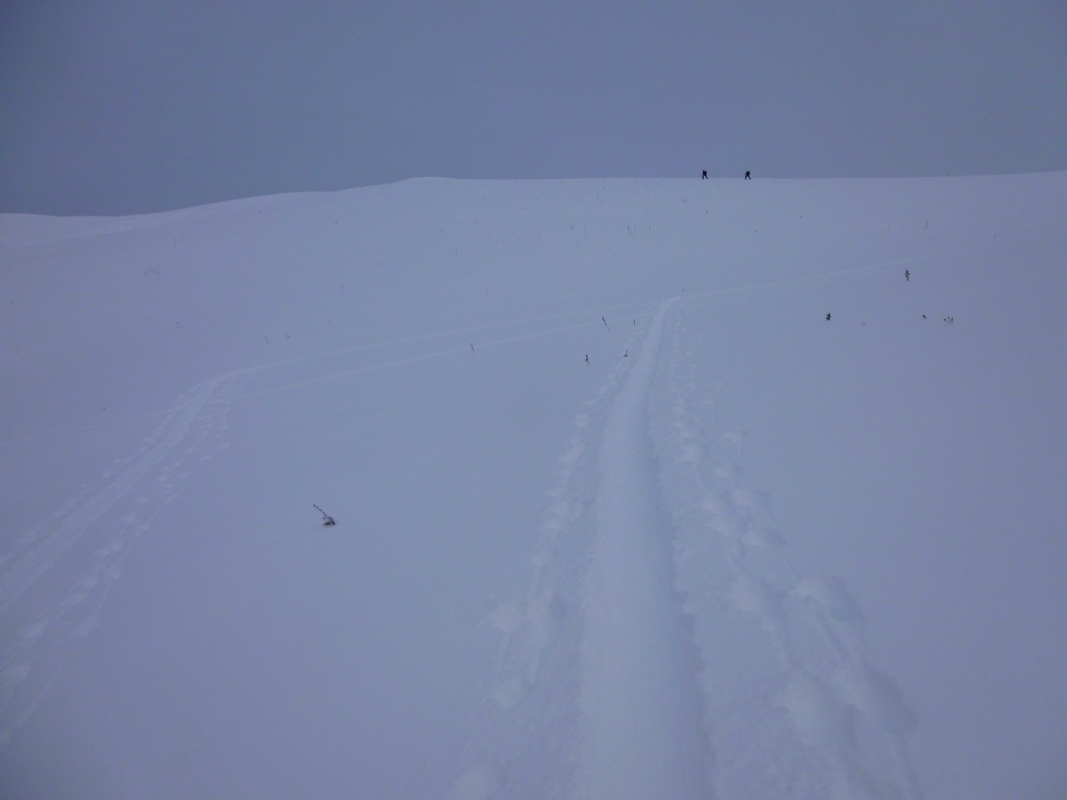 #2 Pt Sulens : Sous le Pt Sulens : c Pt Sulens : Sous le Pt Sulens : c'est bon mais les espaces vierges se réduisent, une dizaine de skieurs le skie en boucle en remontant sur le coté droit.