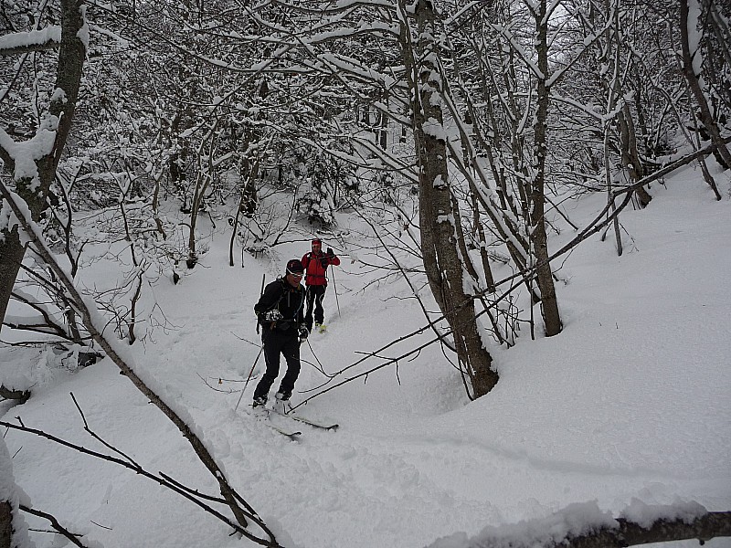 #1 bas du couloir : vive le ski en Bauges ! bas du couloir : vive le ski en Bauges !