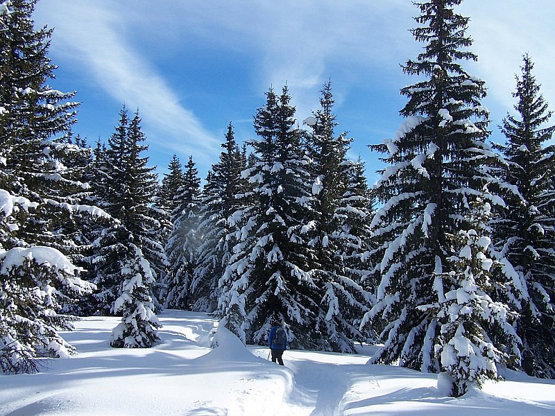Croisse Baulet : Arrivée au col de Jaillet, la commence le ski sanglier...