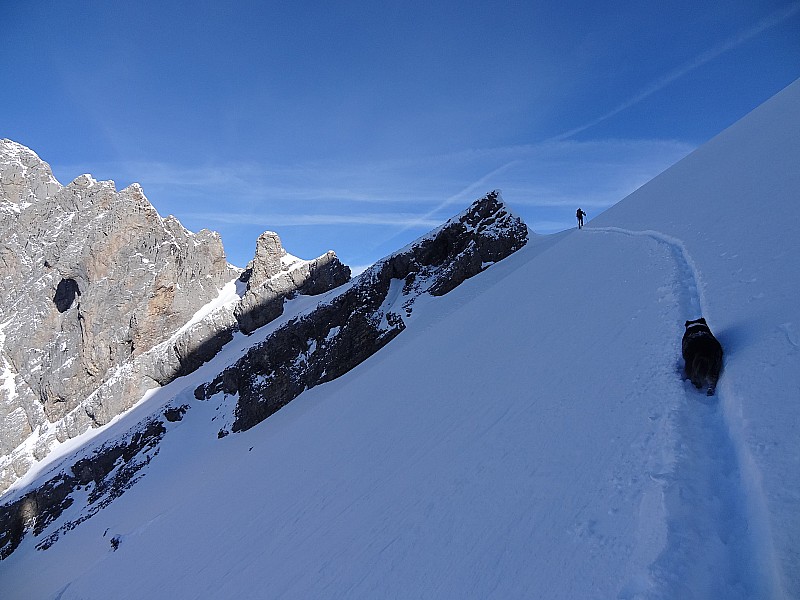 #2 La chienne qui nous suit : Elle fera 1800m comme nous malgré l La chienne qui nous suit : Elle fera 1800m comme nous malgré l'enfoncement