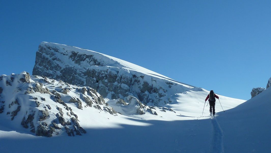 #14 Plateau sommital : pas une trace à l Plateau sommital : pas une trace à l'horizon, tres rare dans le secteur