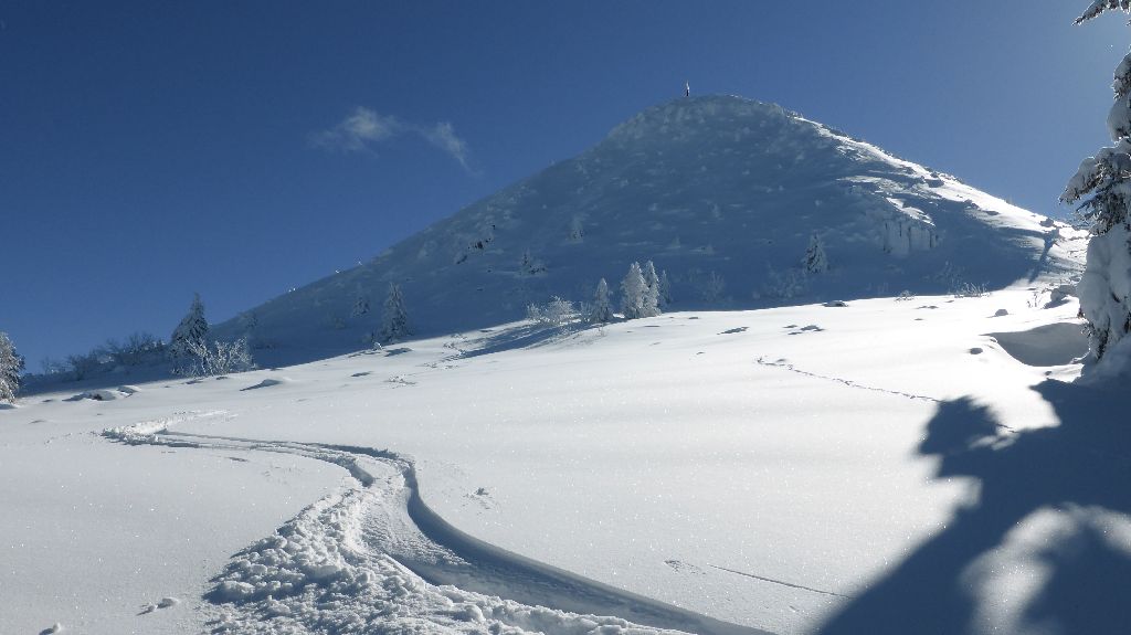 #15 Directe Nord : Même qualité Directe Nord : Même qualité