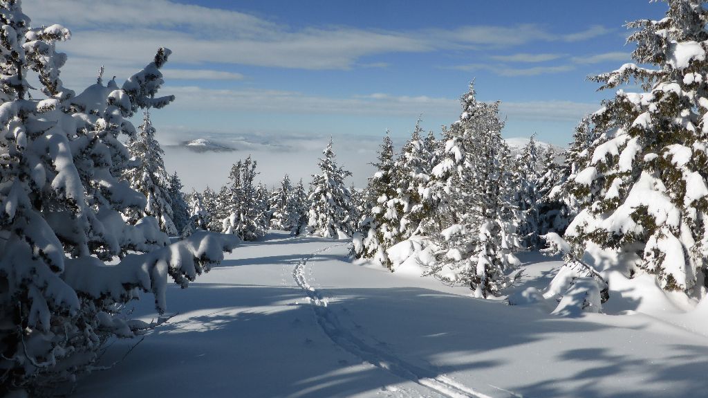 #6 Trace : Homo podfocus, mais sapiens quand même Trace : Homo podfocus, mais sapiens quand même