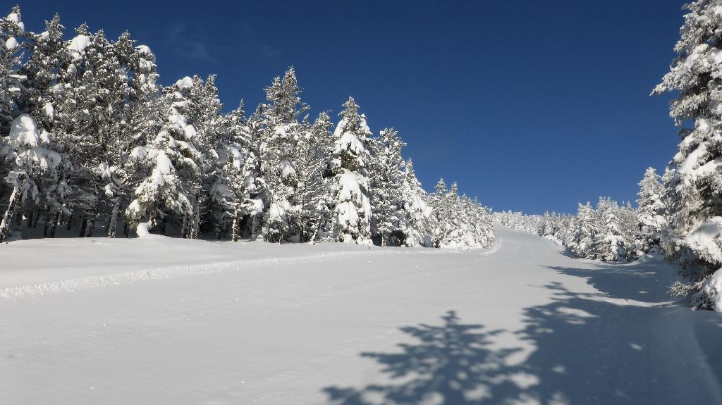 #1 Piste vierge de traces : Montée efficace et sans personne. Piste vierge de traces : Montée efficace et sans personne.