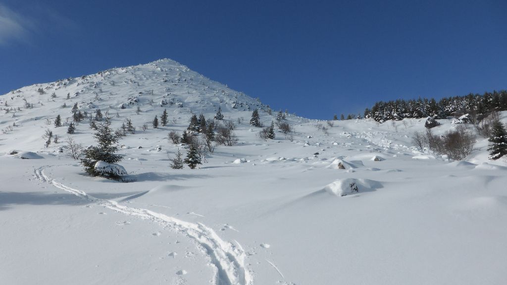 #11 La seule autre trace : Homo nordicus, sûrement sapiens aussi La seule autre trace : Homo nordicus, sûrement sapiens aussi