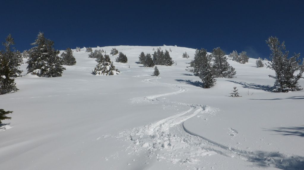 #17 Alambre face ouest : Pas de traces non plus Alambre face ouest : Pas de traces non plus