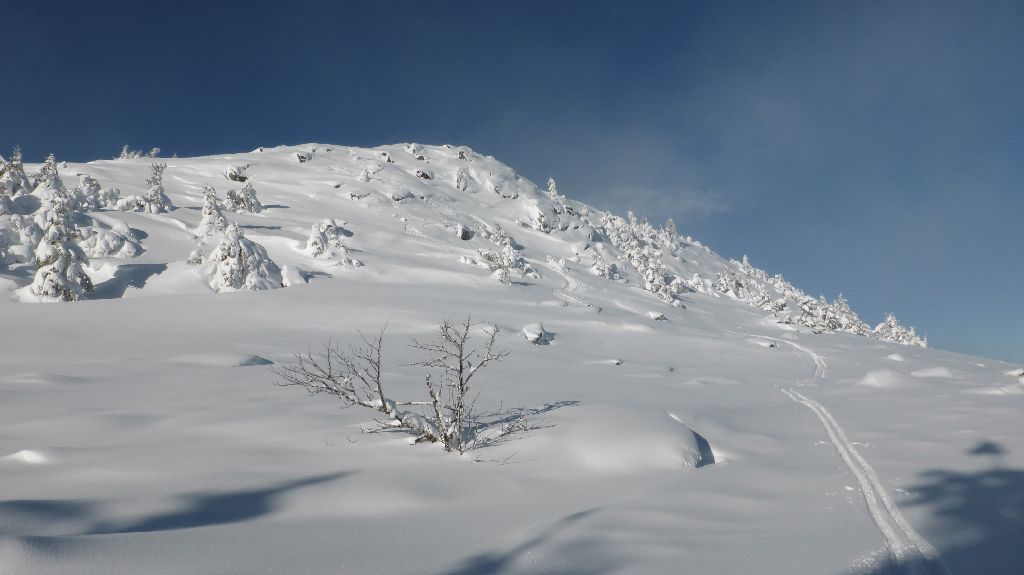 #2 Dents de la Plonge : Cà passe presque partout! Dents de la Plonge : Cà passe presque partout!