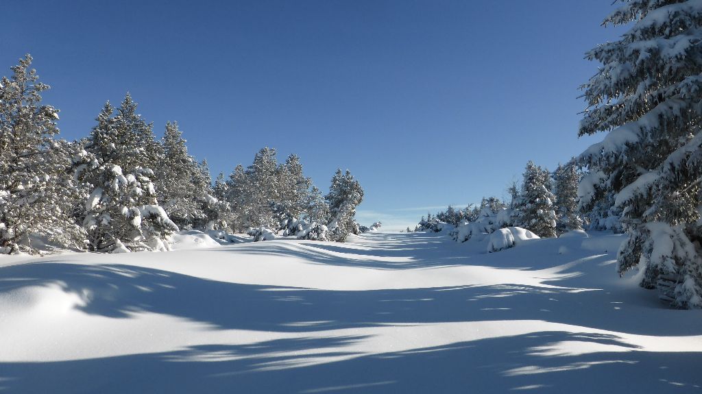 #4 Route de Peccata : Pour le vélo, il faudra attendre et c Route de Peccata : Pour le vélo, il faudra attendre et c'est tant mieux.