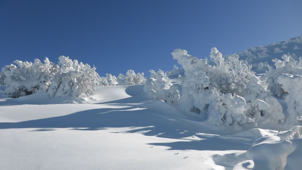 #8 Versant ouest : Gros enneigement Versant ouest : Gros enneigement