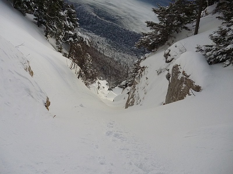 #5 vierge : vierge virgule goute à mes spatules... vierge : vierge virgule goute à mes spatules...