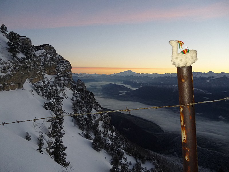 #4 lama the II : prêt à sauter dans le couloir lama the II : prêt à sauter dans le couloir
