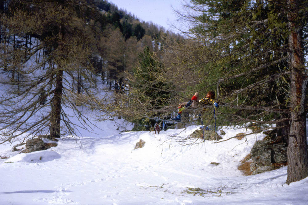 Arrivée arboricole : Et m....