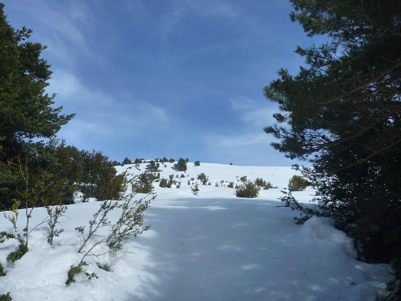 #1 sortie de la forêt : ça s sortie de la forêt : ça s'ouvre et ça promet d'être sympa