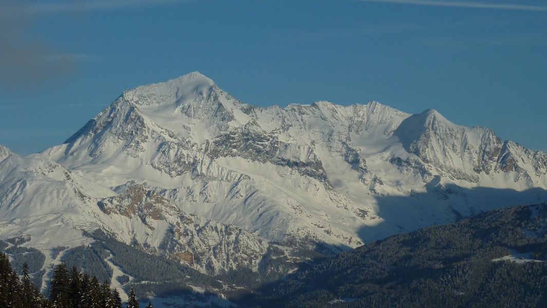 #20 Sache - Pourri : bel éclairage de fin de soirée Sache - Pourri : bel éclairage de fin de soirée
