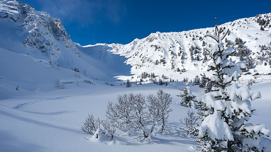 #2 et les Crêtes du Mont-Charvet : immaculées et les Crêtes du Mont-Charvet : immaculées