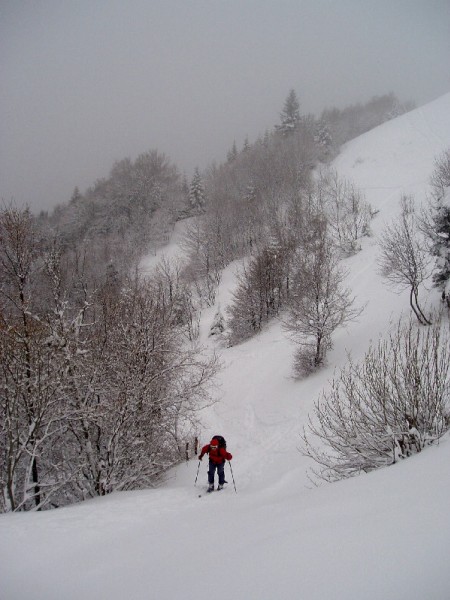 2ème montée pour Sev : Les arbres sont peu chargés de neige au niveau de la cabane; un brin de redoux...