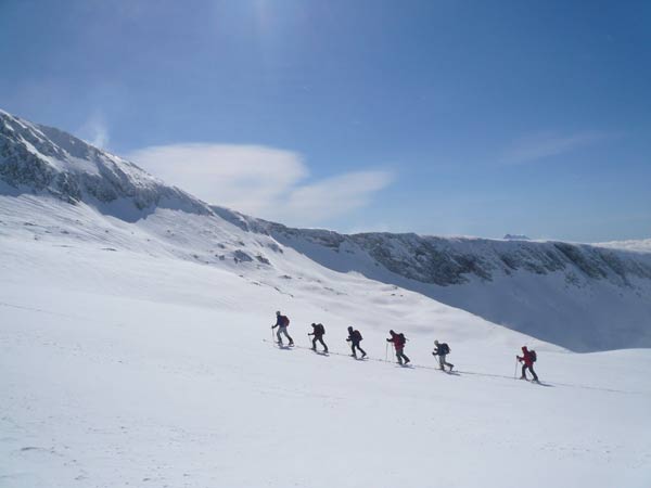 #3 La marche du cafiste : Tous les deux ans, le cafiste traverse l La marche du cafiste : Tous les deux ans, le cafiste traverse l'antarctique pour aller se reproduire ... (vous connaissez tous la suite de l'histoire)
