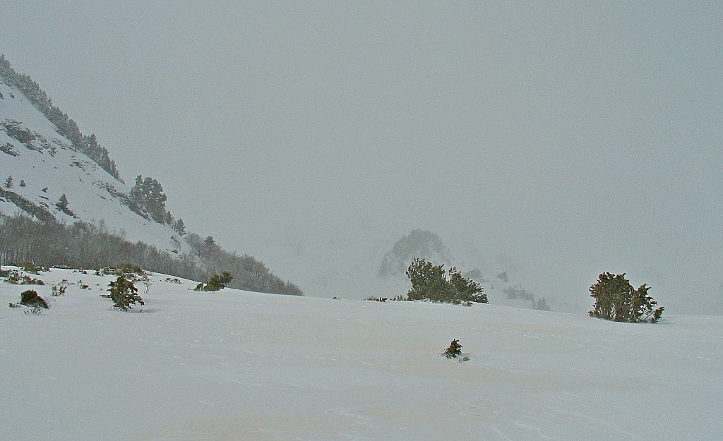 Col de Palhères : et neige jaune .