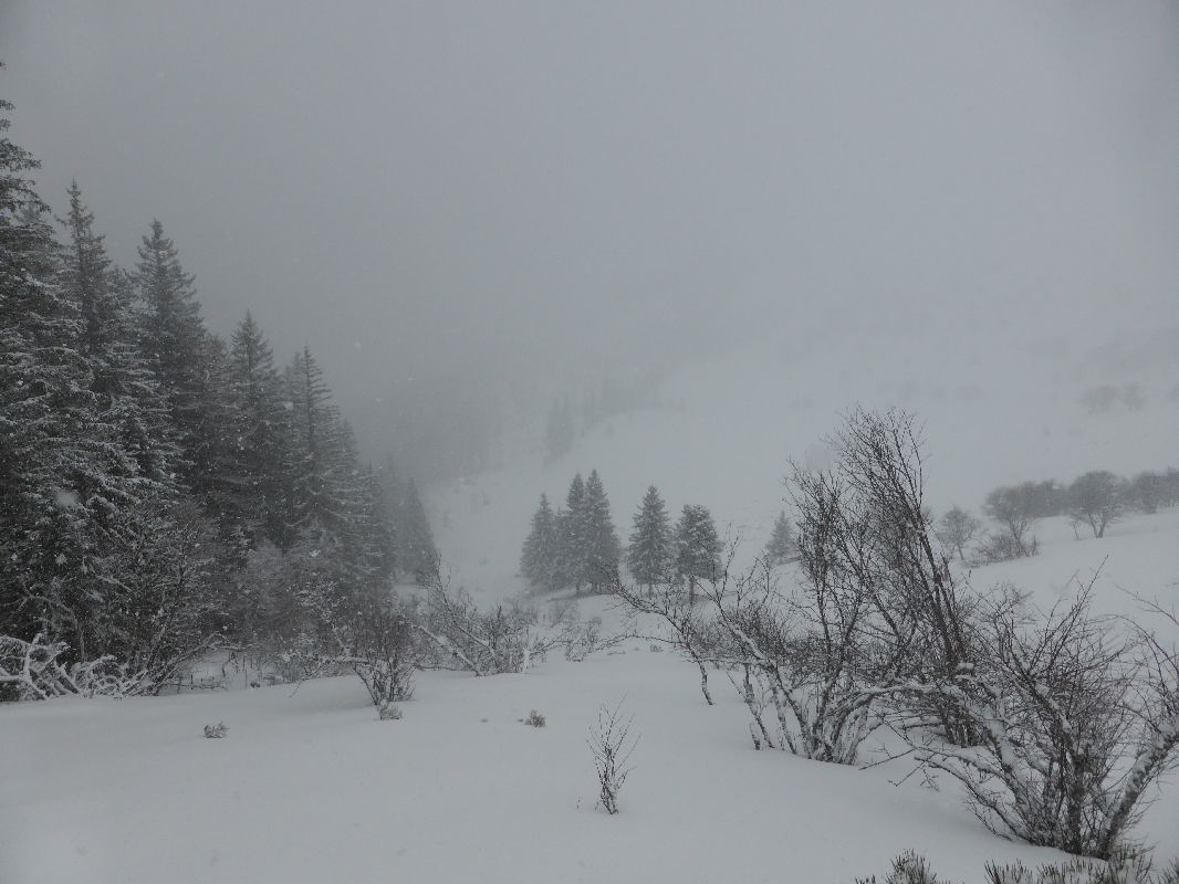 #1 Averses de neige : Elles m Averses de neige : Elles m'accompagnent jusqu'au sommet