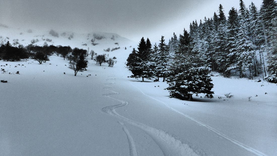 #3 Une 1ère descente excellente : Seule la visibilité laisse à désirer. Une 1ère descente excellente : Seule la visibilité laisse à désirer.