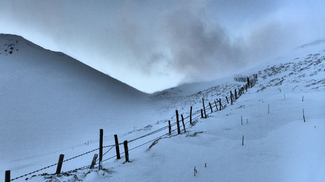 #8 Vers le Col de l Vers le Col de l'Aiguillon : Aiguillon et barbelés: de quoi ajouter un peu de piquants.