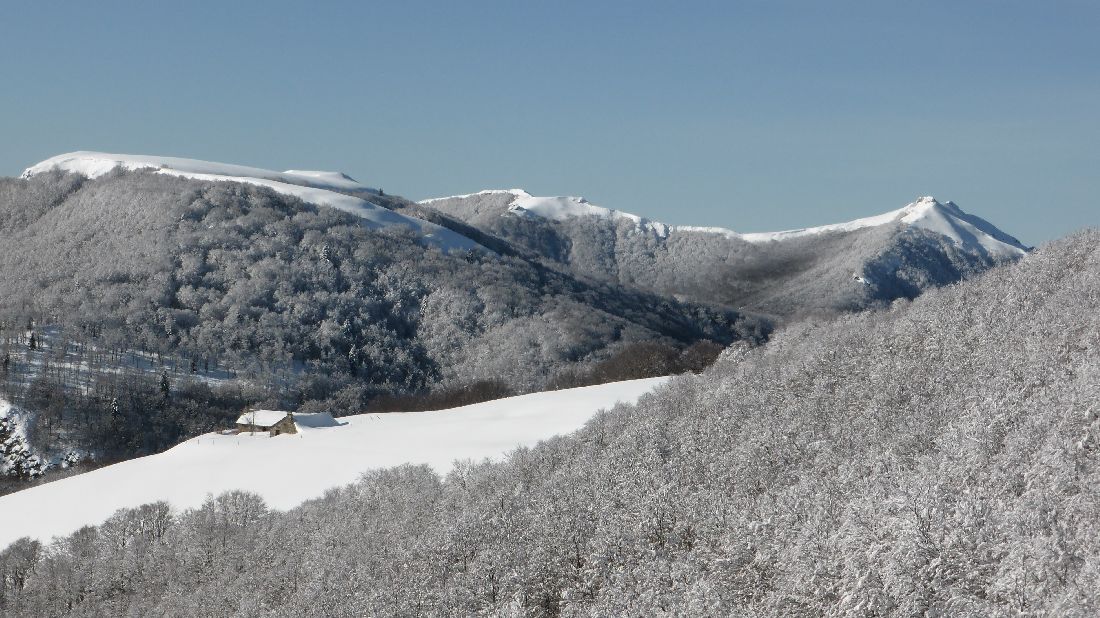 #3 La Vacherie du Griou : Sur la croupe sud La Vacherie du Griou : Sur la croupe sud