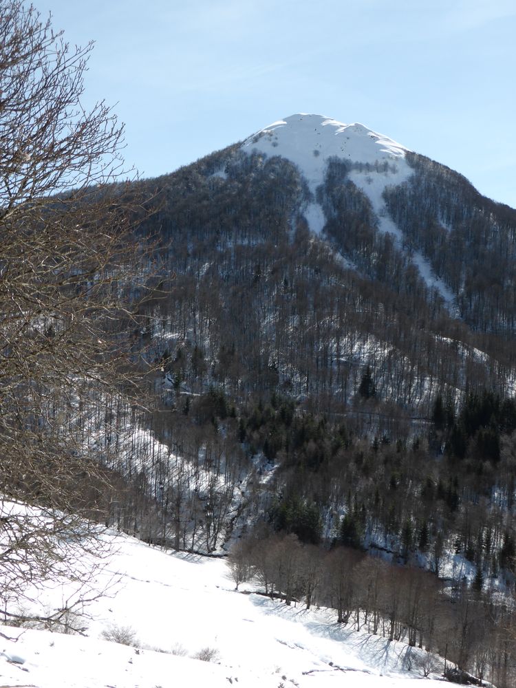 #17 Puy de l Puy de l'Usclade : Le versant nord avec les trouées créées par les avalanches.