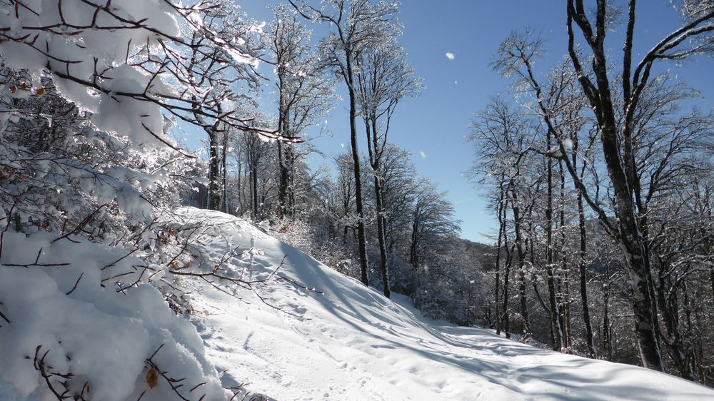 #11 Labyrinthe de pistes : Sous une fonte marquée. Labyrinthe de pistes : Sous une fonte marquée.
