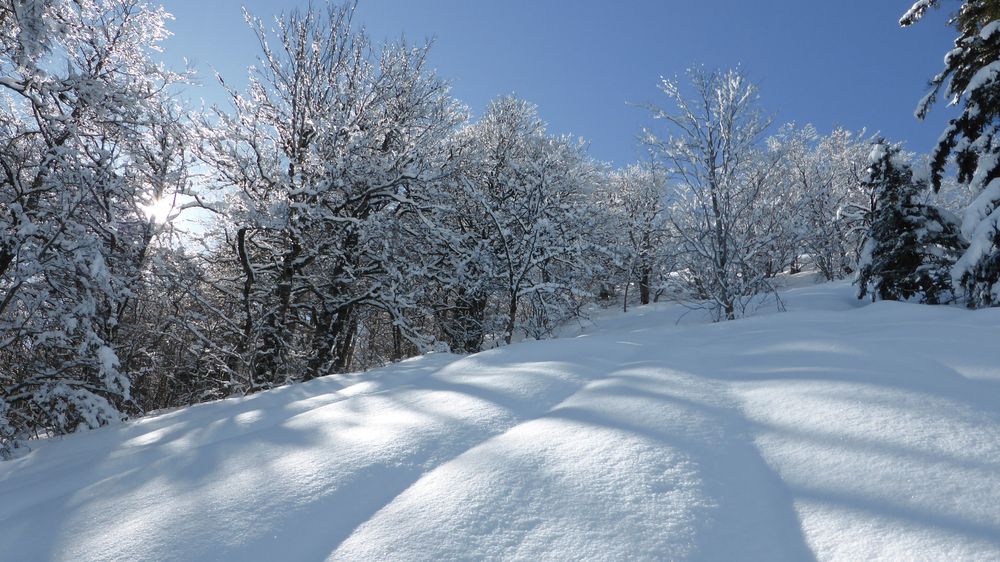 #12 Puy de l Puy de l'Usclade : Montée versant nord