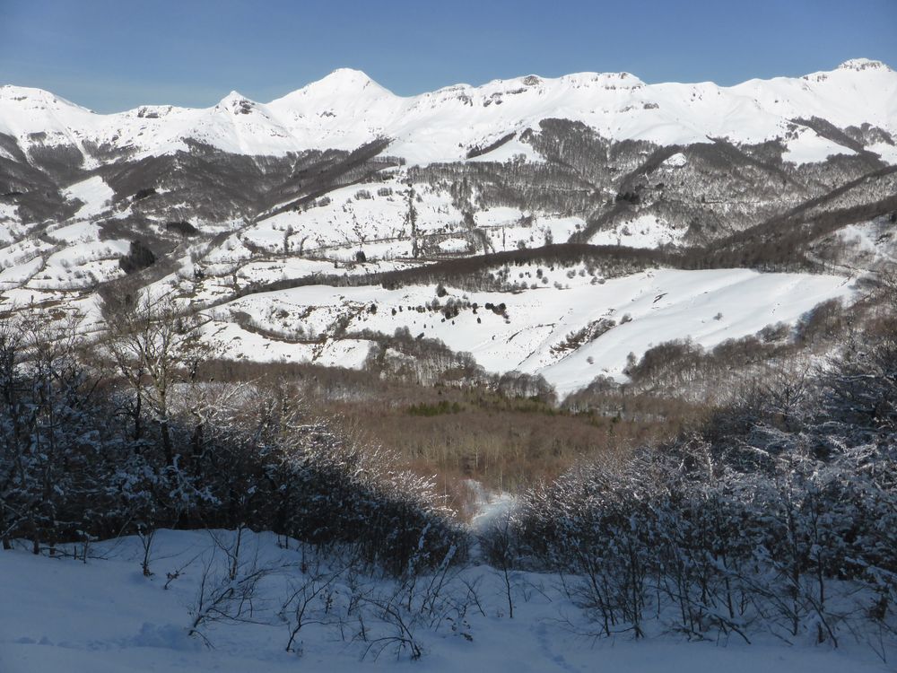 #14 Puy de l Puy de l'Usclade : Pente nord