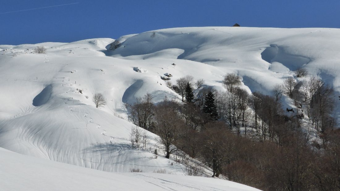 #18 Les vallons de Rombière : Pour boucler Les vallons de Rombière : Pour boucler