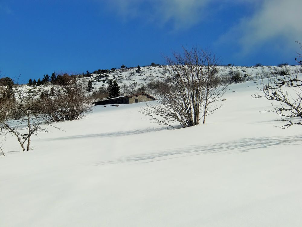 #3 Jasserie de reclavet : conditions à 1480m Jasserie de reclavet : conditions à 1480m