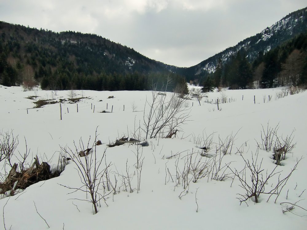 #7 Vallée du fossat : Paturages au repos... Vallée du fossat : Paturages au repos...