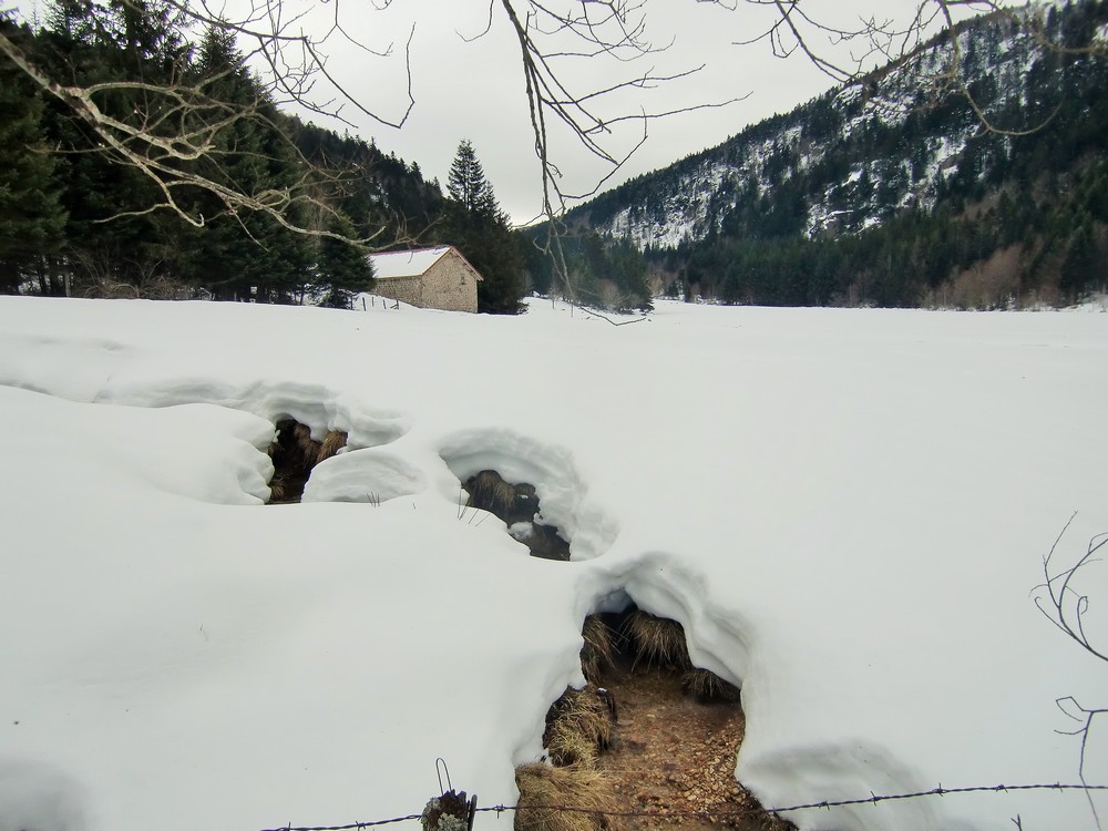 #6 neige printanière : Les sources ne gèlent plus... neige printanière : Les sources ne gèlent plus...