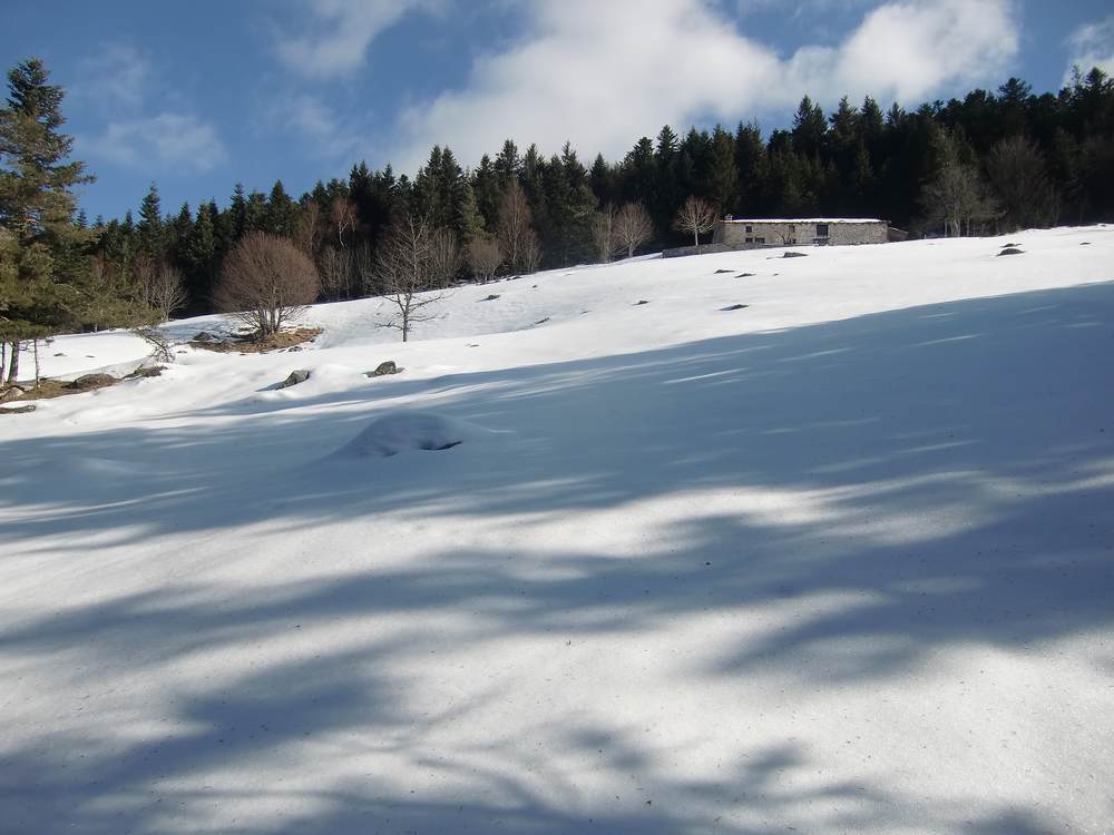 #2 Champs de neige : à faire en descente la prochaine fois! Champs de neige : à faire en descente la prochaine fois!