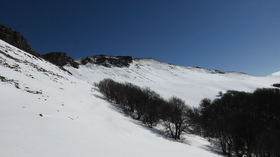#5 Le Peylat versant sud : La hêtraie jusqu Le Peylat versant sud : La hêtraie jusqu'à 1500m