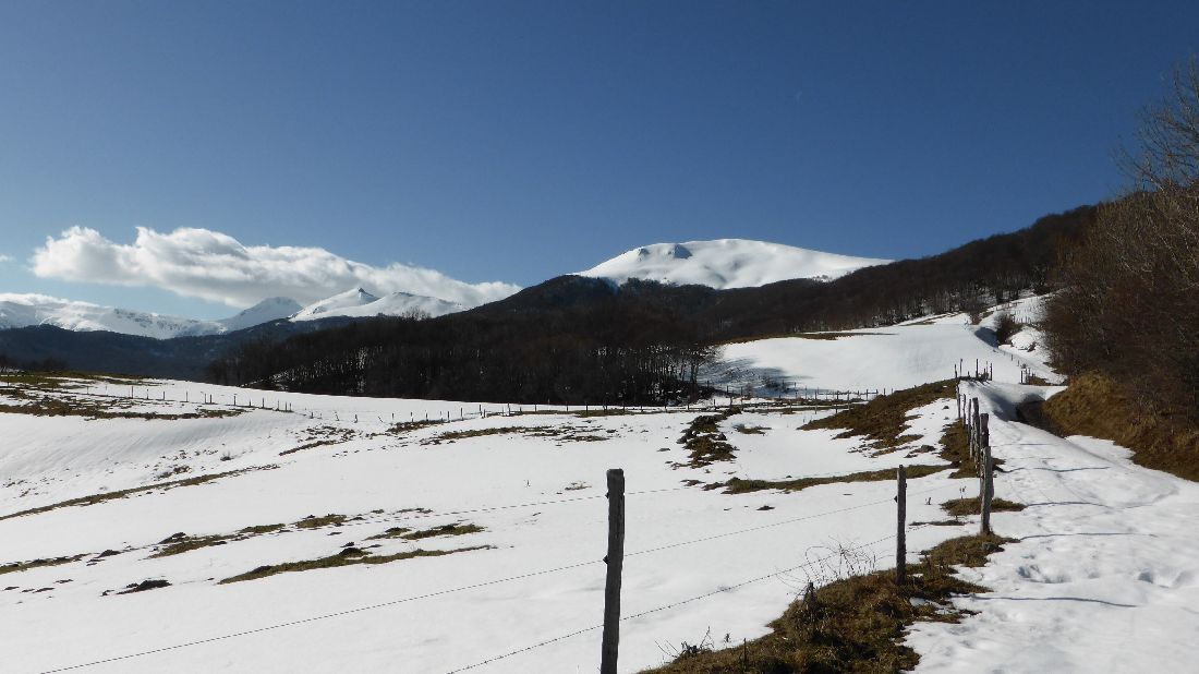 #1 Au bout du chemin : Les sommets nord cantaliens Au bout du chemin : Les sommets nord cantaliens