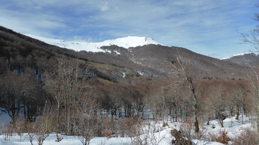 #13 Bois de la Bragouse : En haut à droite, la suite du programme. Bois de la Bragouse : En haut à droite, la suite du programme.