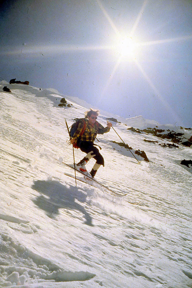 #23 Face N pointe Salvador : Les cornes de petit diablotin Face N pointe Salvador : Les cornes de petit diablotin