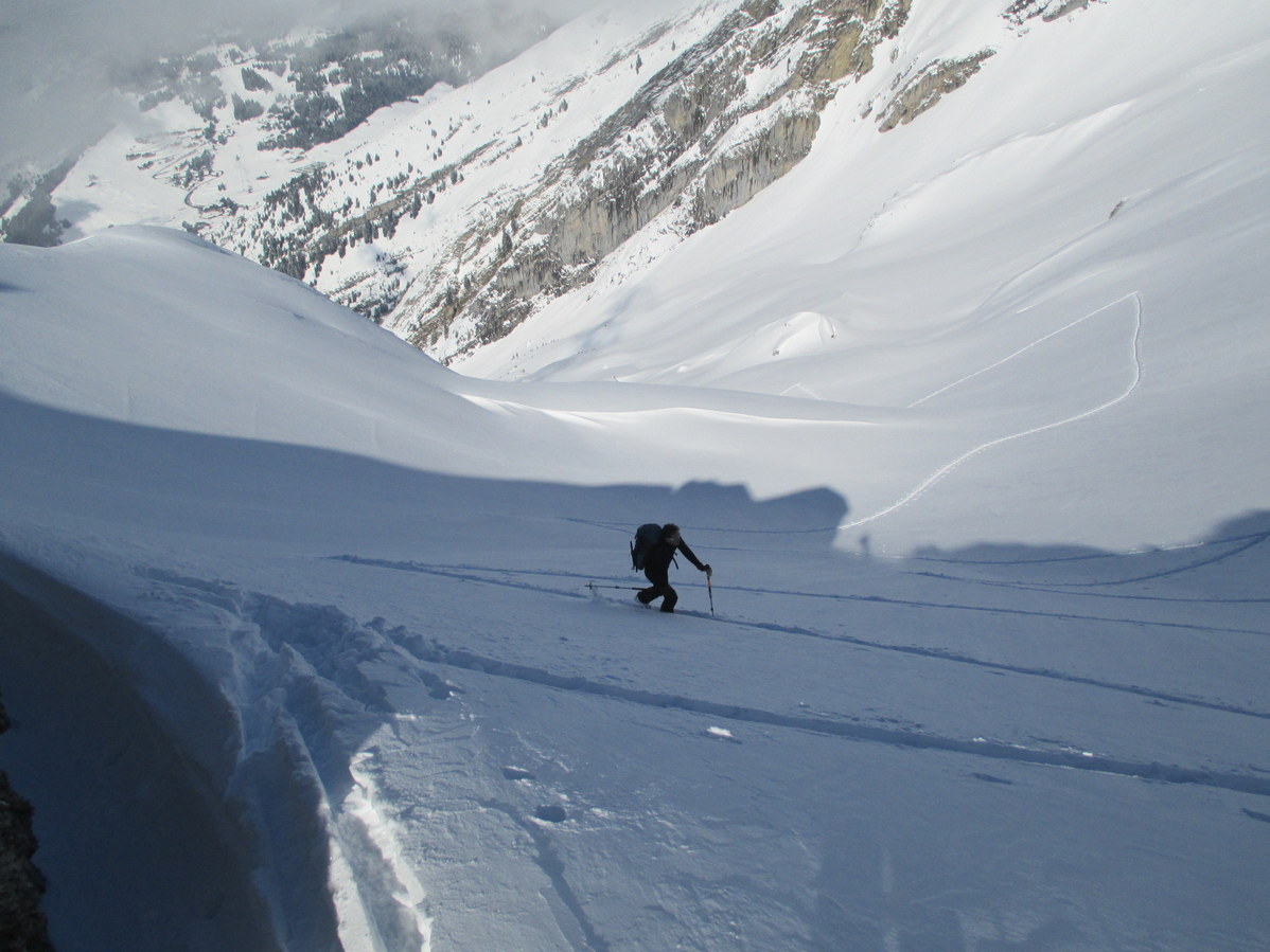 Arête Etale : Giloux chemine au gré de la trace....